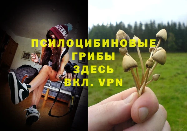 a pvp Горнозаводск