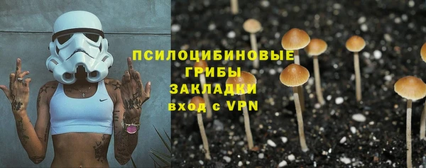 мескалин Горняк