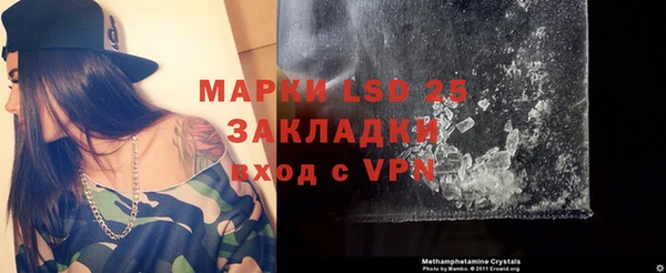 хмурый Гусев