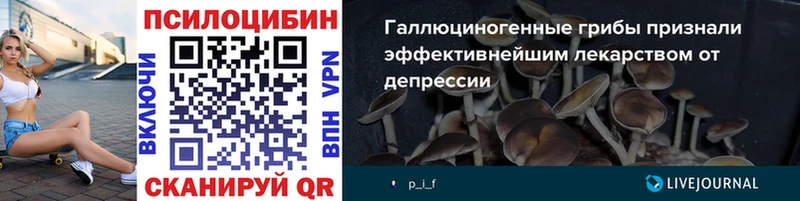 Купить где  Полтавская  Псилоцибиновые грибы мухоморы 